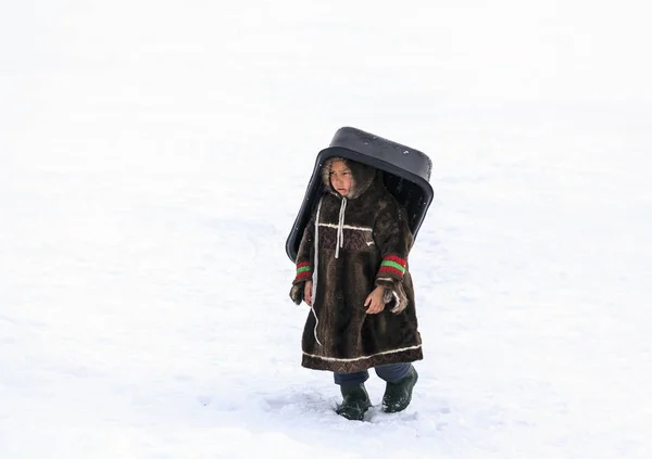 Nadym Ρωσία Απριλίου 2018 Tundra Ανοιχτό Χώρο Παιδιά Βόλτα Έλκηθρα — Φωτογραφία Αρχείου