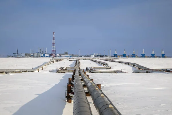 Gaspipelines Kräne Und Rohre Für Den Gas Und Öltransport Gasaufbereitungsanlage — Stockfoto