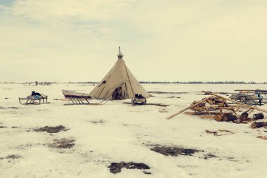 Ren geyiği, Nenets, mera ile geyik koşum tonda