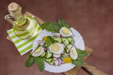 Karahindiba, sağlıklı bahar salatası genç yapraklarda plaka closeup karahindiba, salatalık, turp ve yumurta salatası