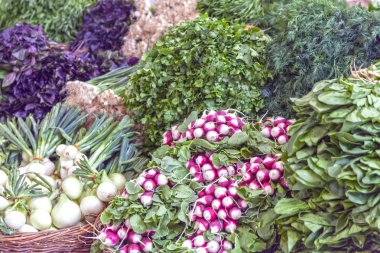 Sebze pazarı, turp, soğan, dereotu, maydanoz,