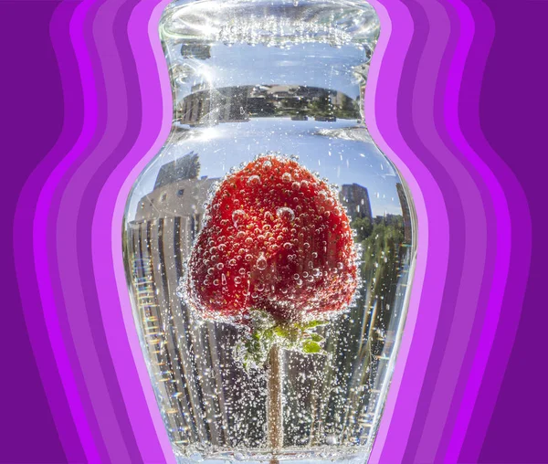 strawberry on a stick in a glass with water with gas, on a Pink  background, square image, abstraction.