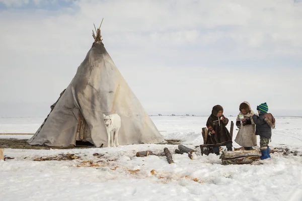 Nadym Rusia Abril 2018 Tundra Área Abierta Los Niños Con — Foto de Stock