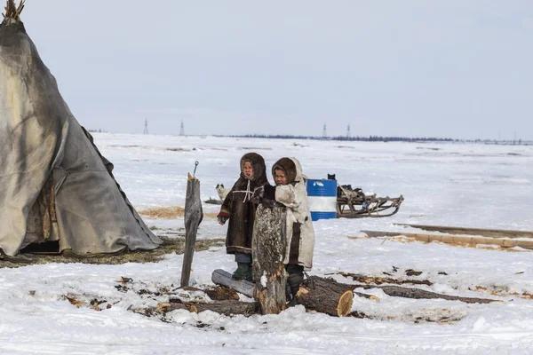 Nadym Rusia Abril 2018 Tundra Área Abierta Los Niños Con — Foto de Stock