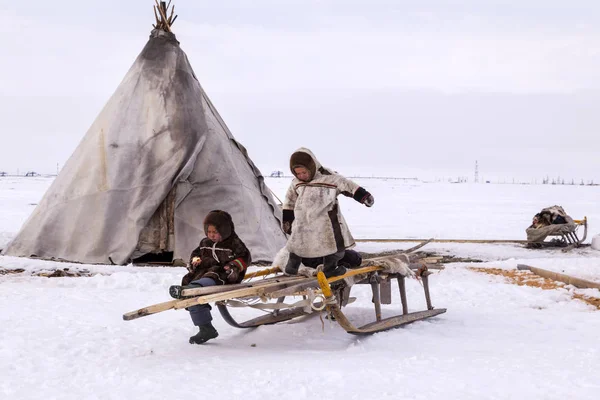 Nadym, Rusya Federasyonu - 27 Nisan 2018: tundra, açık alan, soğuk kış hava, Ulusal giysiler içinde çocuklar yardım Papa'nın yakacak odun, editoryal doğrayın