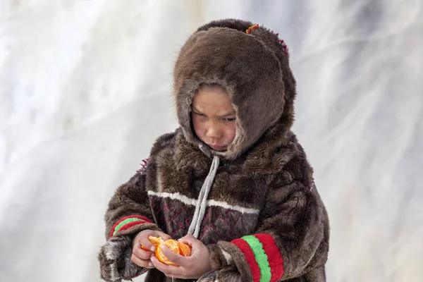 Nadym, Rusya Federasyonu - 27 Nisan, 2018:tundra, açık alan, çocuk temizler soğuk kış hava, ulusal giysiler, editoryal çocukta mandarin.