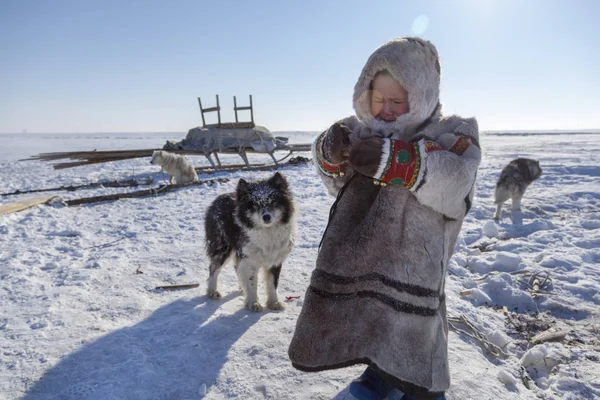 Tundra Área Abierta Niño Con Perro Invierno Frío Niño Con — Foto de Stock