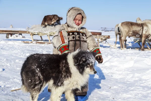 ツンドラ オープン エリア 寒い冬の天候で犬と少年 国民服の少年 — ストック写真