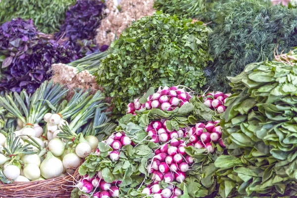 Sebze pazarı, turp, soğan, dereotu, maydanoz,