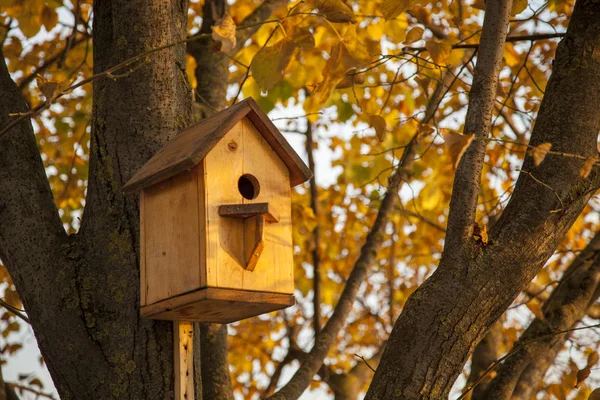 Herfst Herfst Landschap Een Huis Voor Vogels Een Boom — Stockfoto