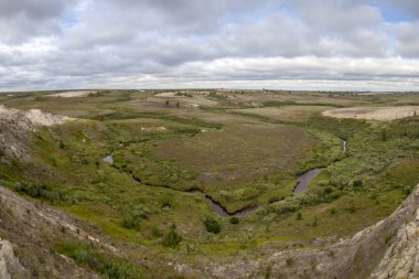 Orman-tundra, büyük güzel manzara panoramik 