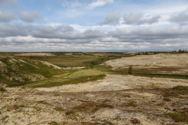 Güzel manzara orman-tundra, 