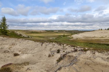 Güzel manzara orman-tundra, 
