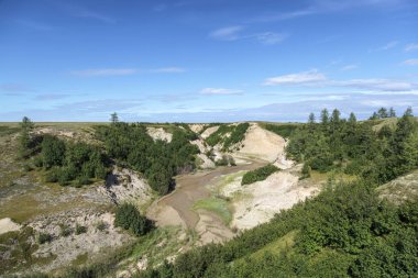 Güzel manzara orman-tundra, 