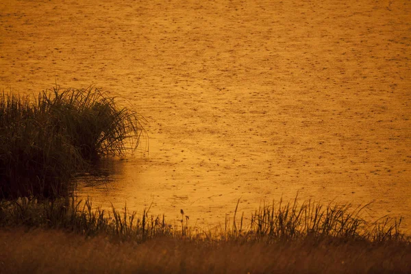 Céu Sombrio Após Chuva Luz Sol Pôr Sol Céu Após — Fotografia de Stock