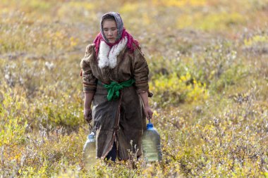Aşırı Kuzey, Yamal, geçmişte Nenets insan, konut Kuzey, halkların Nenets uyruklu kadınlar onların yurts kızak kalıp. Göçebe Nenets insanlar yurts içinde canlı.