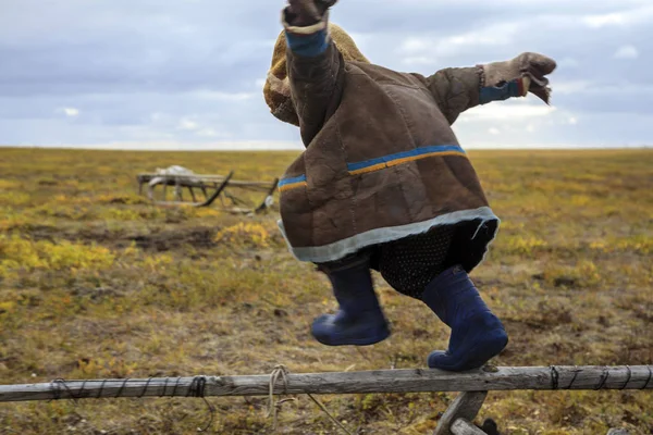 Miejsce Zamieszkania Tundry Rdzennych Mieszkańców Dalekiej Północy Tundra Otwartej Przestrzeni — Zdjęcie stockowe