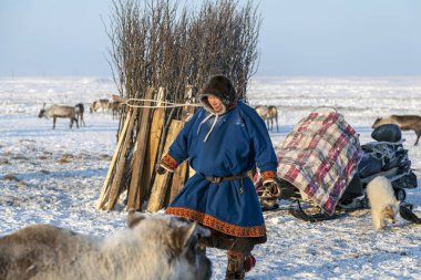 Nadym, Rusya Federasyonu - 27 Nisan, 2018:tundra, açık alan, Yardımcısı Ren geyiği doğurmak, erkekler ulusal giysiler, Editör