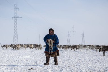 Tundra, açık alan, ren geyiği yetiştiricisi yardımcısı, ulusal giysili adamlar.,