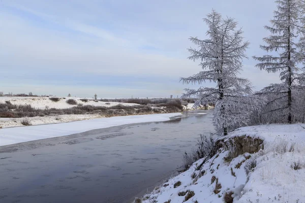 Beautiful Winter Landscape Frost Branches Trees First Snow — Stock Photo, Image