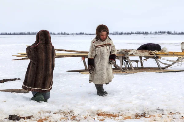 Nadym, Rusya Federasyonu - 27 Nisan 2018: tundra, açık alan, soğuk kış hava, Ulusal giysiler içinde çocuklar yardım Papa'nın yakacak odun, editoryal doğrayın