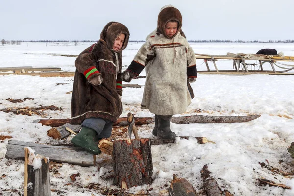 Nadym Federacja Rosyjska Kwietnia 2018 Tundra Otwartej Przestrzeni Chłopcy Krajowych — Zdjęcie stockowe