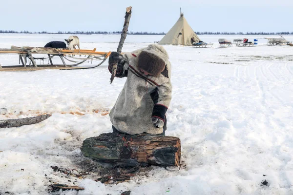Nadym Russland April 2018 Tundra Freigelände Die Jungen Nationalkleidung Bei — Stockfoto