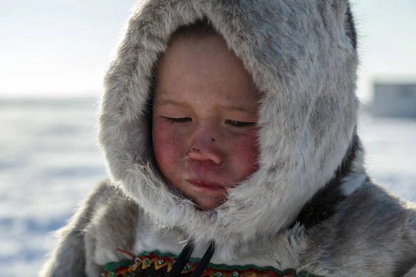 Τούνδρα Ανοιχτή Περιοχή Αγόρι Που Αναζητούν Μακριά Κρύες Χειμερινές Καιρικές — Φωτογραφία Αρχείου
