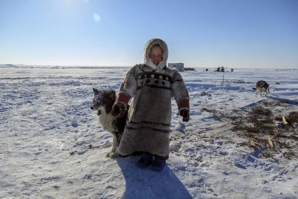 Toundra Aire Ouverte Garçon Avec Chien Par Temps Froid Hiver — Photo