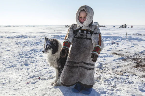 Τούνδρα Ανοικτή Περιοχή Αγόρι Ένα Σκυλί Κρύες Χειμερινές Καιρικές Συνθήκες — Φωτογραφία Αρχείου