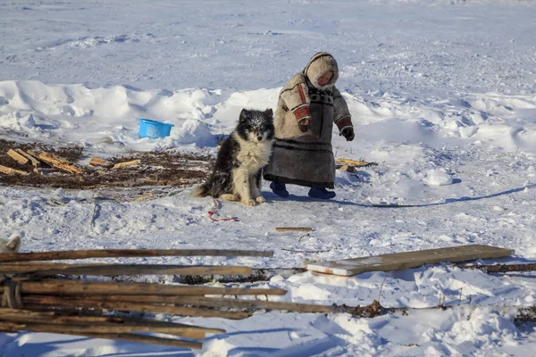 Tundra Área Aberta Menino Com Cão Tempo Inverno Frio Menino — Fotografia de Stock