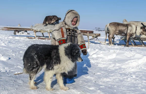 Tundra Açık Alan Soğuk Kış Hava Bir Köpek Ile Çocuk — Stok fotoğraf