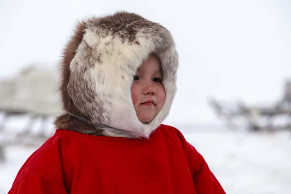 Житель Tundra Корінні Жителі Крайньої Півночі Відкрити Область Дівчинка Червоний — стокове фото