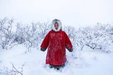 Tundra bir sakini, Far North, tundra, açık alan yerli sakinleri, çocuk kızakları üzerinde çocuk Ulusal giysiler içinde kırmızı giysili küçük kızı binmek