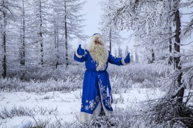 Noel Tema, satış, karlı bir ormandaki mutlu Noel Baba, kış orman arka plan üzerinde Santa