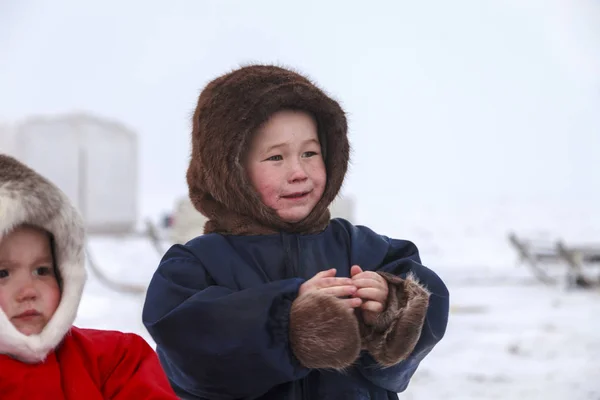 Residente Tundra Residentes Indígenas Del Lejano Norte Tundra Área Abierta — Foto de Stock