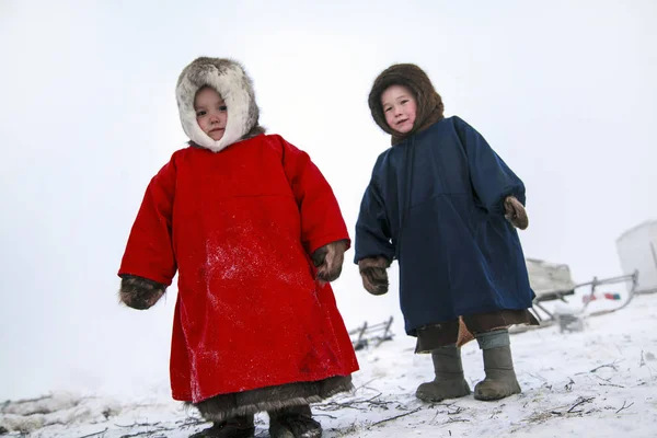 Житель Tundra Корінних Жителів Крайньої Півночі Tundra Відкриту Ділянку Діти — стокове фото