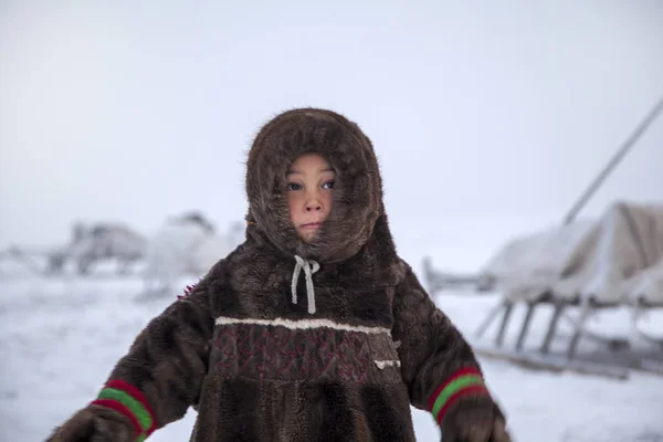 Eine Bewohnerin Der Tundra Indigene Bewohner Des Hohen Nordens Tundra — Stockfoto