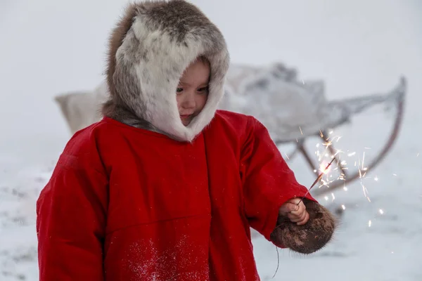 Житель Tundra Корінних Жителів Крайньої Півночі Tundra Відкриту Ділянку Діти — стокове фото