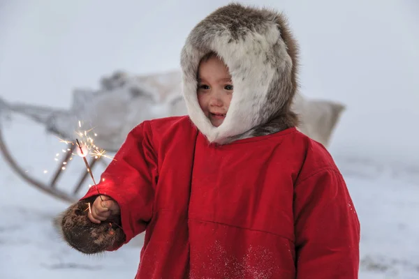 Residente Della Tundra Residenti Indigeni Dell Estremo Nord Tundra Spazio — Foto Stock