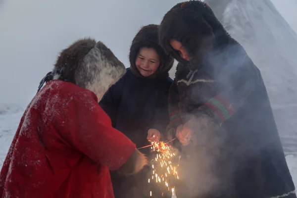 Tundra Yerli Sakinleri Far North Tundra Bir Sakini Açık Alan — Stok fotoğraf