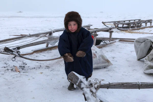 Житель Tundra Корінних Жителів Крайньої Півночі Tundra Відкриту Ділянку Діти — стокове фото