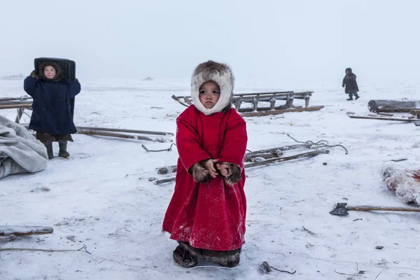 Belföldi Illetőségű Tundra Őshonos Lakosok Far North Tundra Nyílt Területen — Stock Fotó