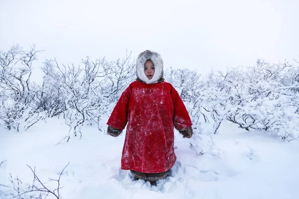 Resident Tundra Indigenous Residents Far North Tundra Open Area Children — Stock Photo, Image