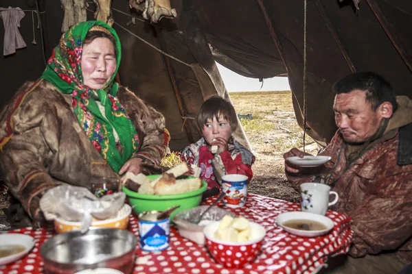 Ekstremalna Północ Yamal Pastwisko Ludzi Nenets Zamieszkanie Narodów Północy Jurta — Zdjęcie stockowe