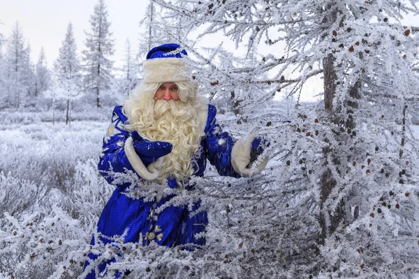 Noel Teması Satışlar Karlı Bir Ormanda Mutlu Noel Baba Kış — Stok fotoğraf