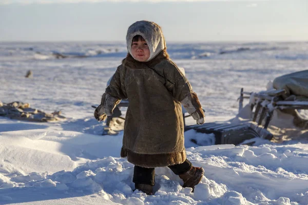 Житель Tundra Корінних Жителів Крайньої Півночі Tundra Відкриту Ділянку Діти — стокове фото
