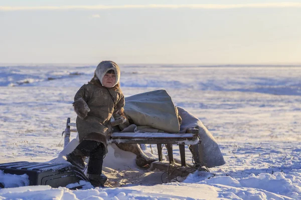 Belföldi Illetőségű Tundra Őshonos Lakosok Far North Tundra Nyílt Területen — Stock Fotó