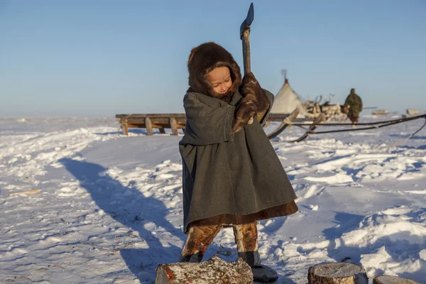 Tundra Nyílt Területen Fiúk Nemzeti Ruhák Hideg Téli Időjárás Segít — Stock Fotó