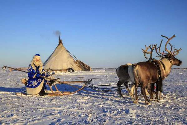 Kerst Thema Verkoop Happy Santa Claus Een Besneeuwd Bos Kerstman — Stockfoto